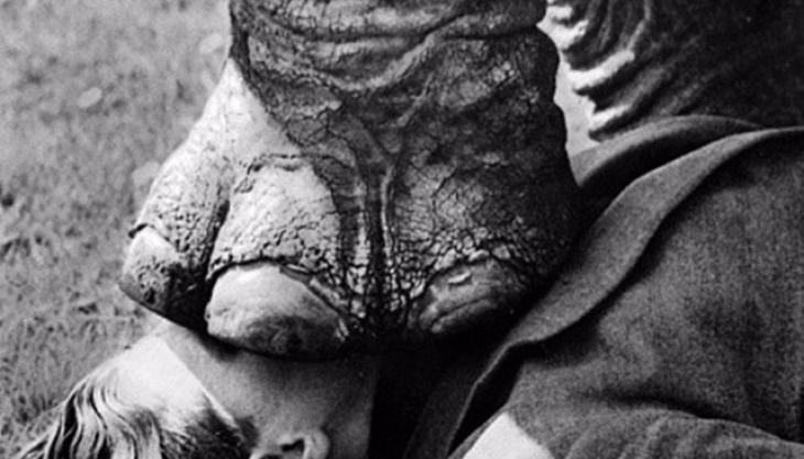 elephant-on-face.jpg