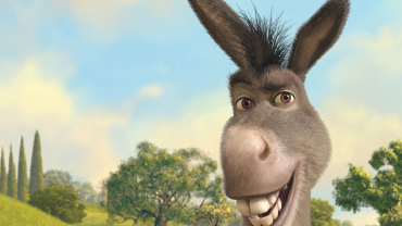 ane-shrek-large.png