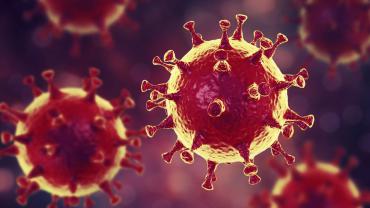 corona-virus-ab.jpg