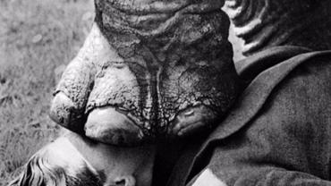 elephant-on-face.jpg