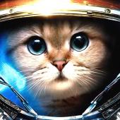 chat-espace.jpg